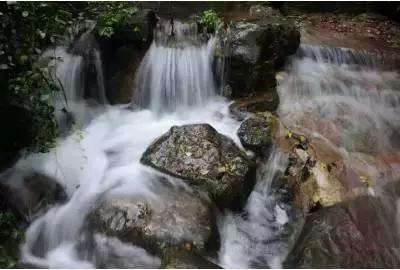 机智问答网页-技能天团,让《红楼梦》中王熙凤死后,为何破席卷身扔到乱葬岗?不再是难题